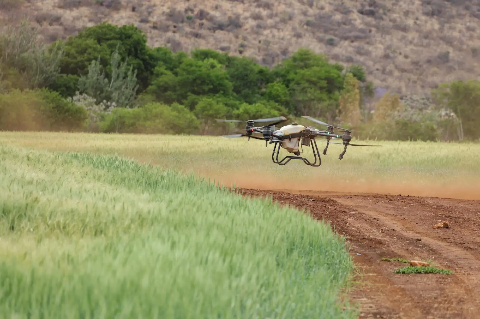 Agricultural drone scanning farm canopy